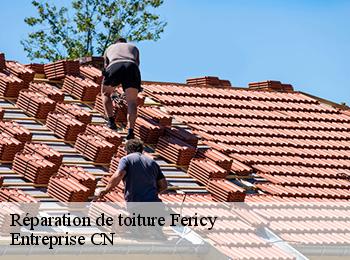 Réparation de toiture  fericy-77133 Entreprise CN