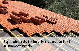 Réparation de toiture  fontaine-le-port-77590 Sauvageot Fredo