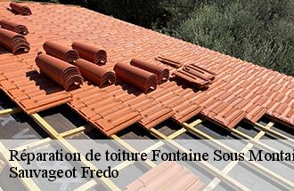 Réparation de toiture fontaine-sous-montaiguill-77560