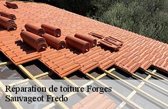 Réparation de toiture forges-77130 Sauvageot Fredo