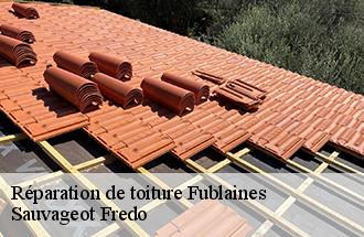 Réparation de toiture fublaines-77470 Sauvageot Fredo