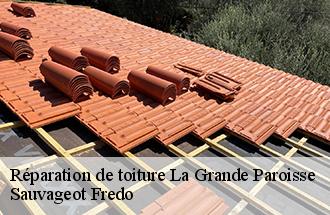 Réparation de toiture la-grande-paroisse-77130 Sauvageot Fredo