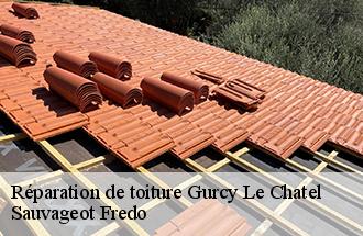 Réparation de toiture gurcy-le-chatel-77520 Sauvageot Fredo