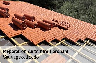 Réparation de toiture  larchant-77760 Sauvageot Fredo