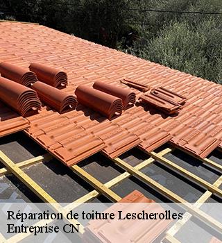 Réparation de toiture  77320