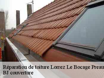Réparation de toiture  lorrez-le-bocage-preaux-77710 BJ couverture