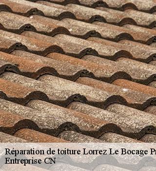 Réparation de toiture 77710