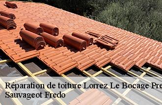 Réparation de toiture lorrez-le-bocage-preaux-77710 Sauvageot Fredo
