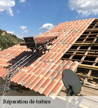 Réparation de toiture 77138