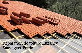 Réparation de toiture luzancy-77138 Sauvageot Fredo