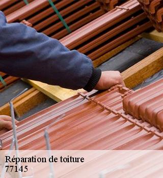 Réparation de toiture 77145