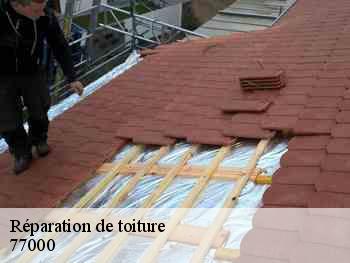 Réparation de toiture  77000