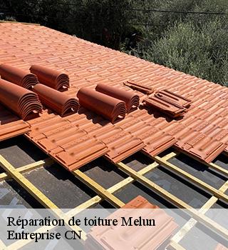 Réparation de toiture  77000