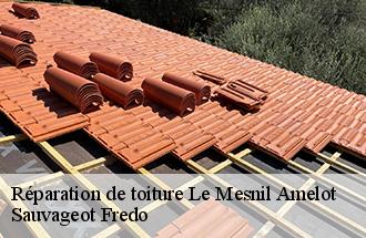 Réparation de toiture  le-mesnil-amelot-77990 Sauvageot Fredo