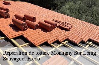 Réparation de toiture montigny-sur-loing-77690 Sauvageot Fredo