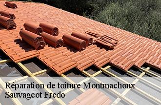 Réparation de toiture  montmachoux-77940 Sauvageot Fredo