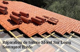 Réparation de toiture moret-sur-loing-77250 Sauvageot Fredo