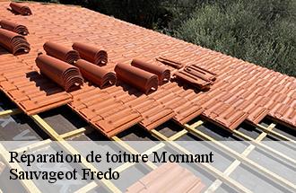 Réparation de toiture mormant-77720 Sauvageot Fredo