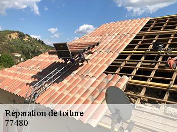 Réparation de toiture 77480