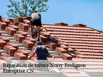 Réparation de toiture  noisy-rudignon-77940 Entreprise CN