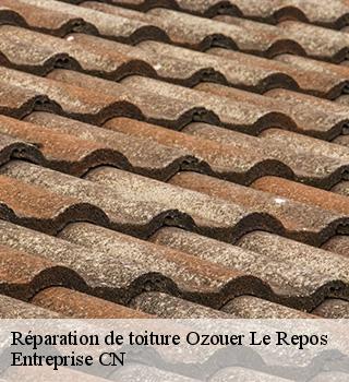 Réparation de toiture  77720