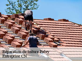 Réparation de toiture paley-77710 Entreprise CN
