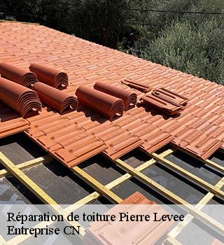 Réparation de toiture  77580