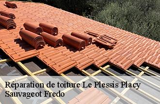 Réparation de toiture le-plessis-placy-77440 Sauvageot Fredo