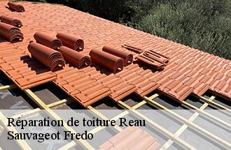 Réparation de toiture reau-77550 Sauvageot Fredo