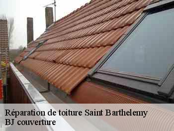 Réparation de toiture  saint-barthelemy-77320 BJ couverture