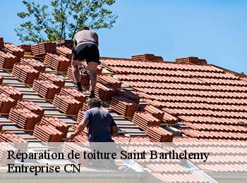 Réparation de toiture saint-barthelemy-77320 Entreprise CN
