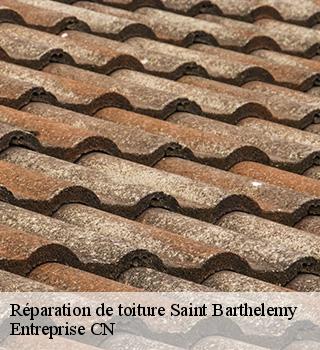 Réparation de toiture 77320