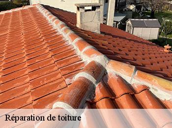 Réparation de toiture