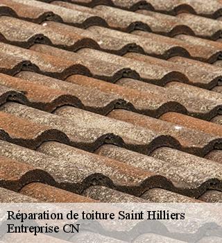 Réparation de toiture 77160