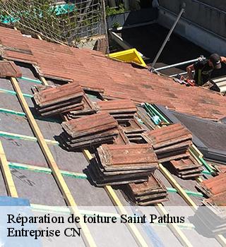 Réparation de toiture  77178