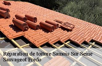 Réparation de toiture samois-sur-seine-77920 Sauvageot Fredo
