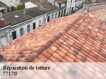 Réparation de toiture 77170