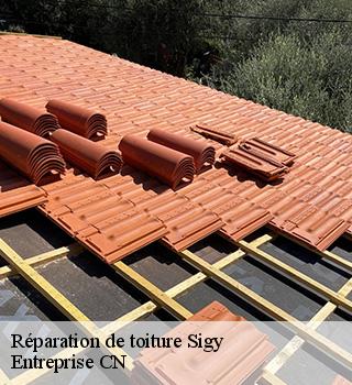 Réparation de toiture 77520