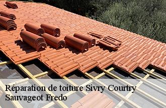 Réparation de toiture sivry-courtry-77115 Sauvageot Fredo