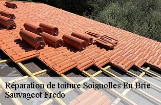Réparation de toiture  soignolles-en-brie-77111 Sauvageot Fredo