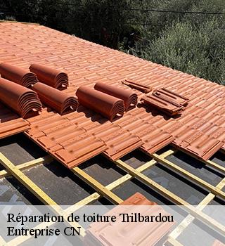 Réparation de toiture 77450