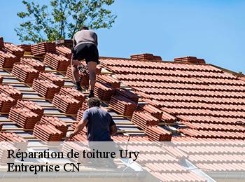 Réparation de toiture ury-77760 Entreprise CN