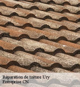 Réparation de toiture 77760