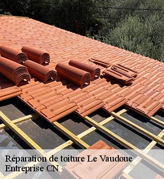 Réparation de toiture  77123