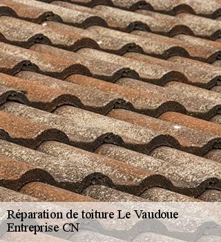 Réparation de toiture  77123