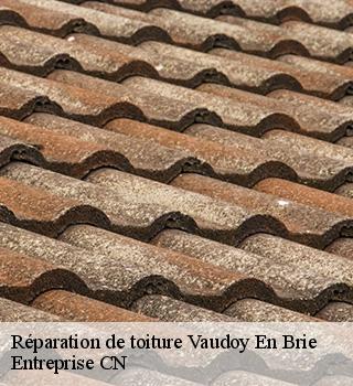 Réparation de toiture  77141