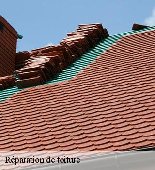 Réparation de toiture  77141