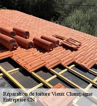 Réparation de toiture  77370