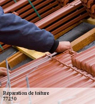 Réparation de toiture  77250