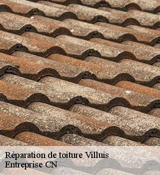 Réparation de toiture 77480